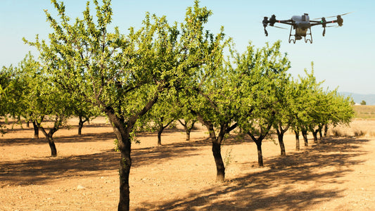 Innovación en el Cultivo de Almendros en España: La Gama DJI Agras Revoluciona el Control de Plagas